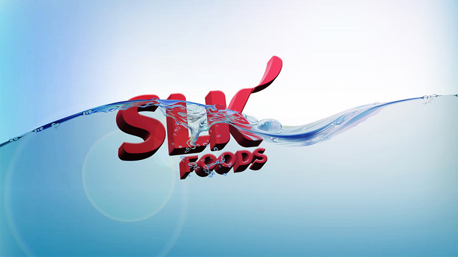 Logo Design done for SLk Foods