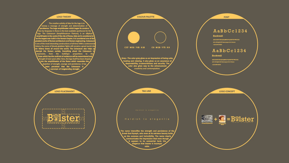 Best Branding & Logo Design done for BOLSTER